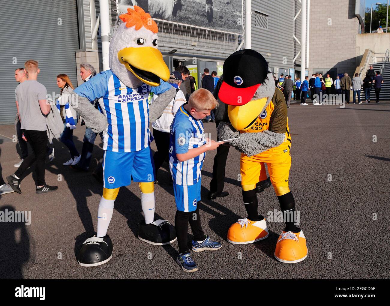 Soccer Football - Premier League - Brighton & Hove Albion v Manchester United - The American Express Community Stadium, Brighton, Britain - May 4, 2018   Brighton mascots with a fan outside the stadium before the match    REUTERS/Eddie Keogh    EDITORIAL USE ONLY. No use with unauthorized audio, video, data, fixture lists, club/league logos or 'live' services. Online in-match use limited to 75 images, no video emulation. No use in betting, games or single club/league/player publications.  Please contact your account representative for further details. Stock Photo