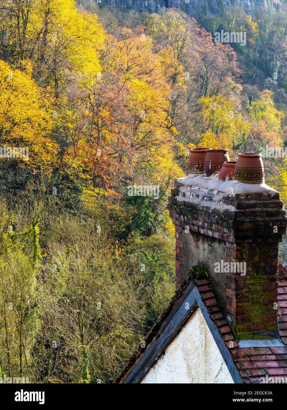Golden autumn colour and chimney pots in woodland at High Tor an area