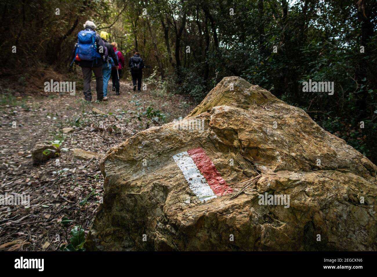 High peak indicator hi-res stock photography and images - Alamy