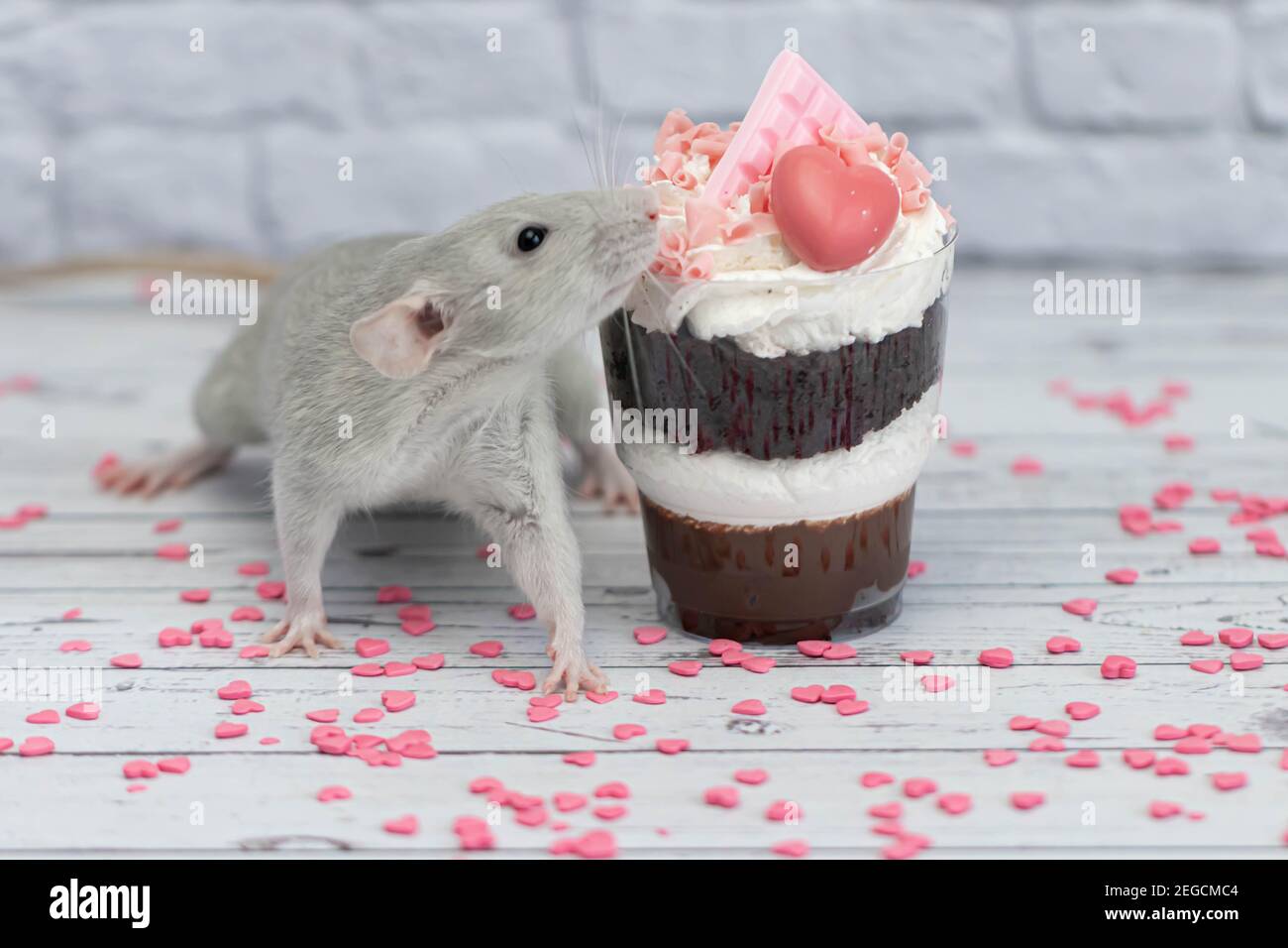 Scat Cake