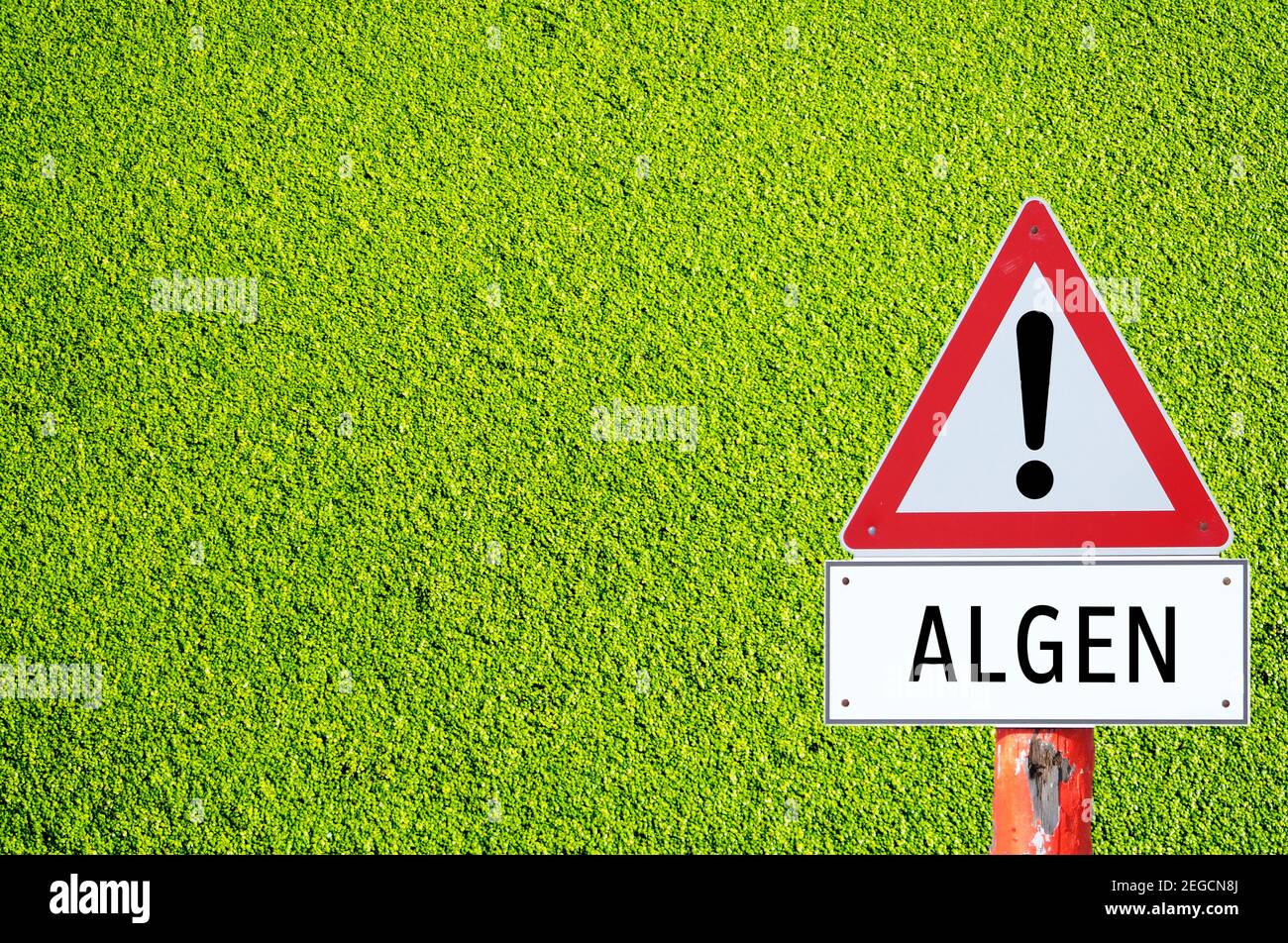 Warning sign algae forbidden to bathe in the lake in German Stock Photo
