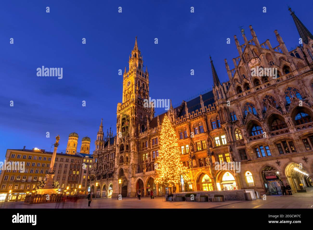 New town hall with illuminated Christmas tree , Marienplatz, Munich, Upper Bavaria, Bavaria, Germany, Europe Stock Photo