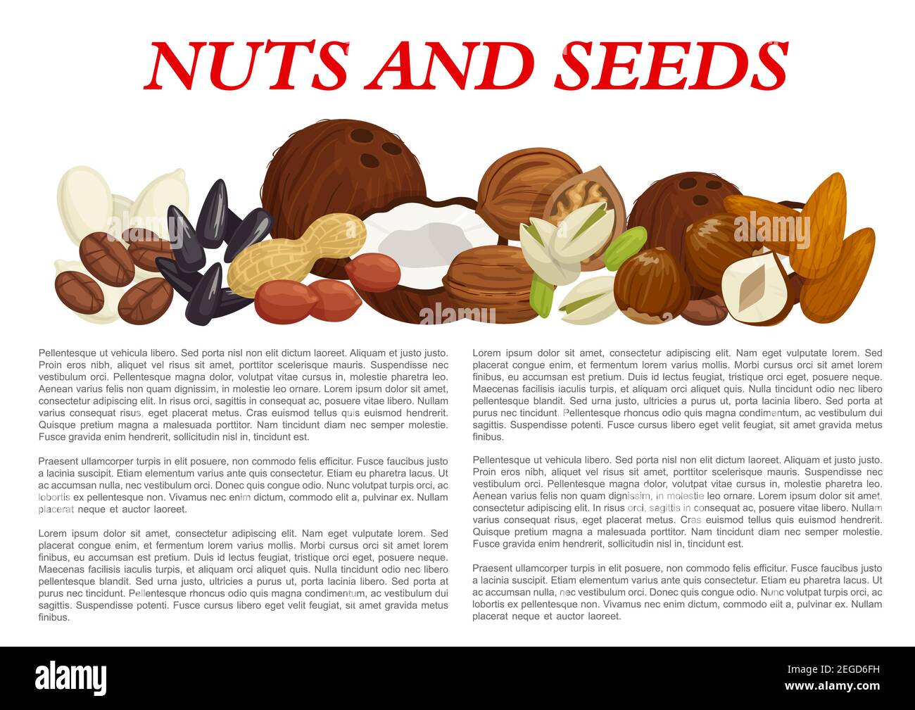 Nuts nutrition facts Stock Vector Images Alamy