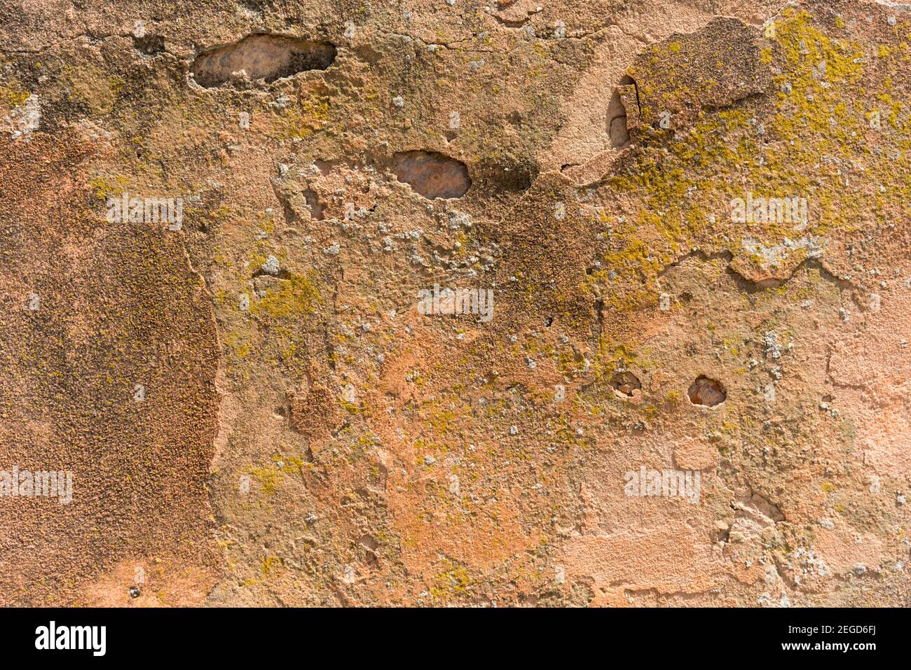 A gritty textured and rendered wall painted in terracotta showing ...