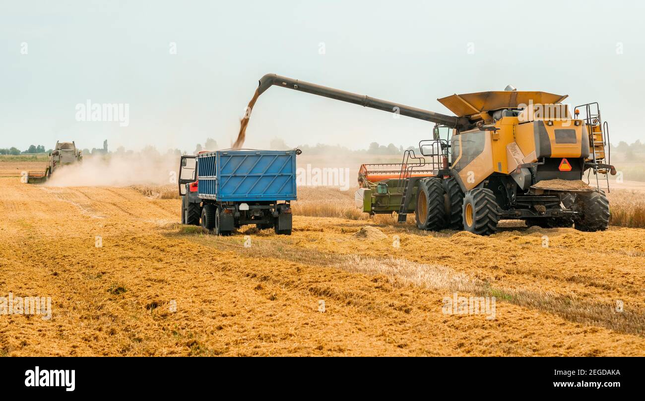 Unloading grains into truck by unloading auger. Combine harvesters cuts