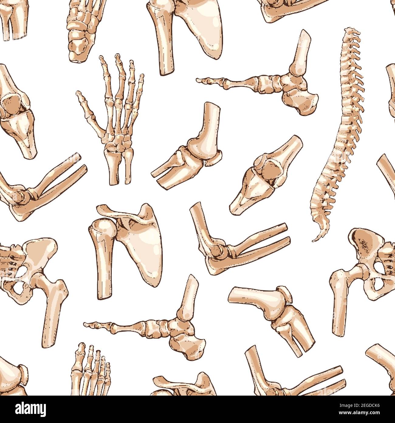Human joints and body parts bones seamless pattern. Vector sketch spine