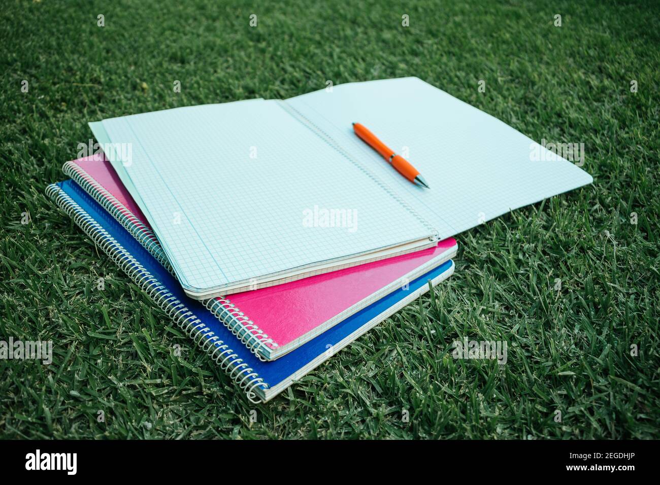 colored notebooks open on the grass Stock Photo