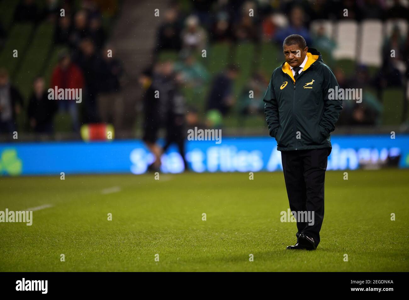 pic Ireland Vs South Africa Head To Head alamy