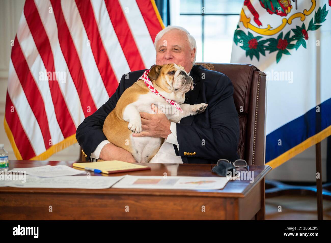 Virginia Dog High Resolution Stock Photography and Images Alamy