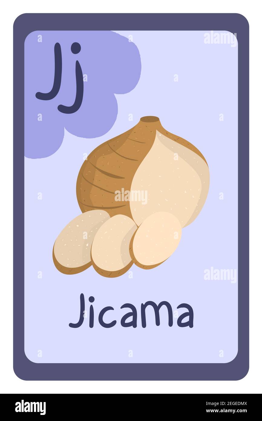 Abc food education flash card, Letter J - jicama. Cartoon design template with colorful alphabet education card. Collection on violet backdrop. Stock Vector