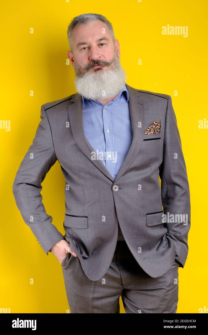 Studio portrait mature bearded handsome man in gray business suit looking to camera, work profession lifestyle, yellow background. Stock Photo