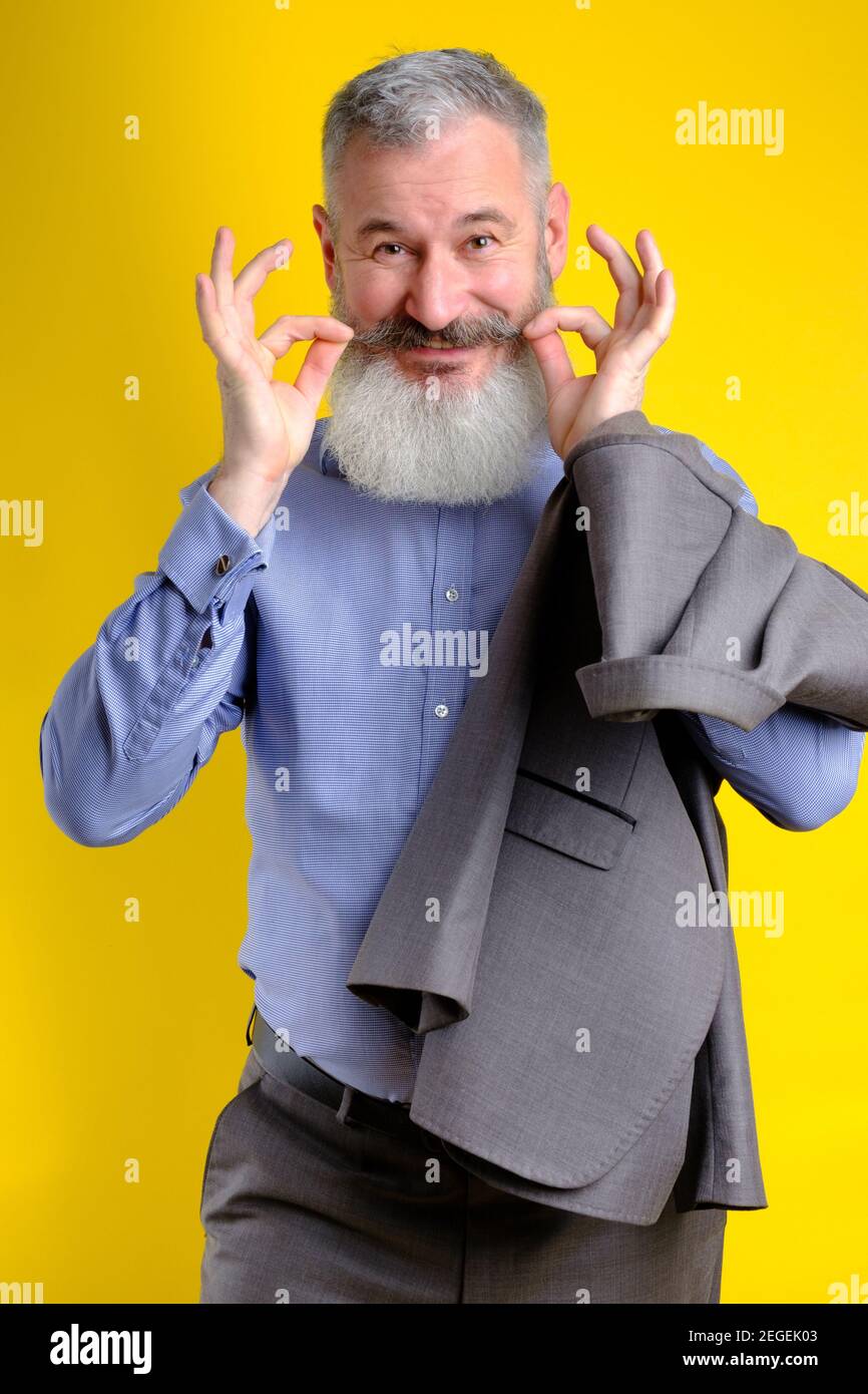 Studio portrait funny bearded handsome man in gray business suit looking to camera, work profession lifestyle, yellow background. Stock Photo