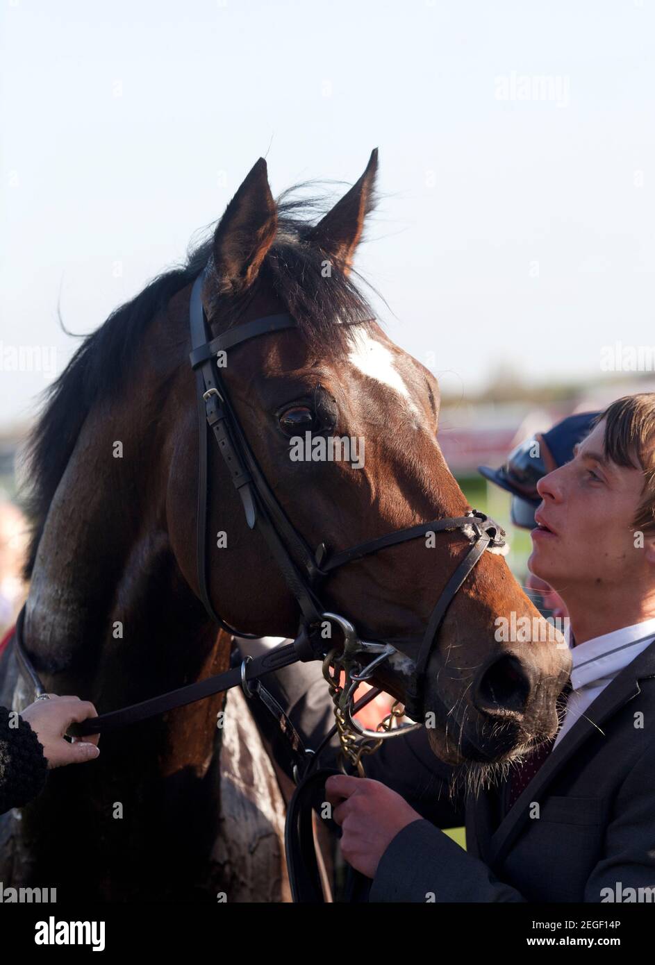 Horse racing doncaster racecourse hi-res stock photography and images ...