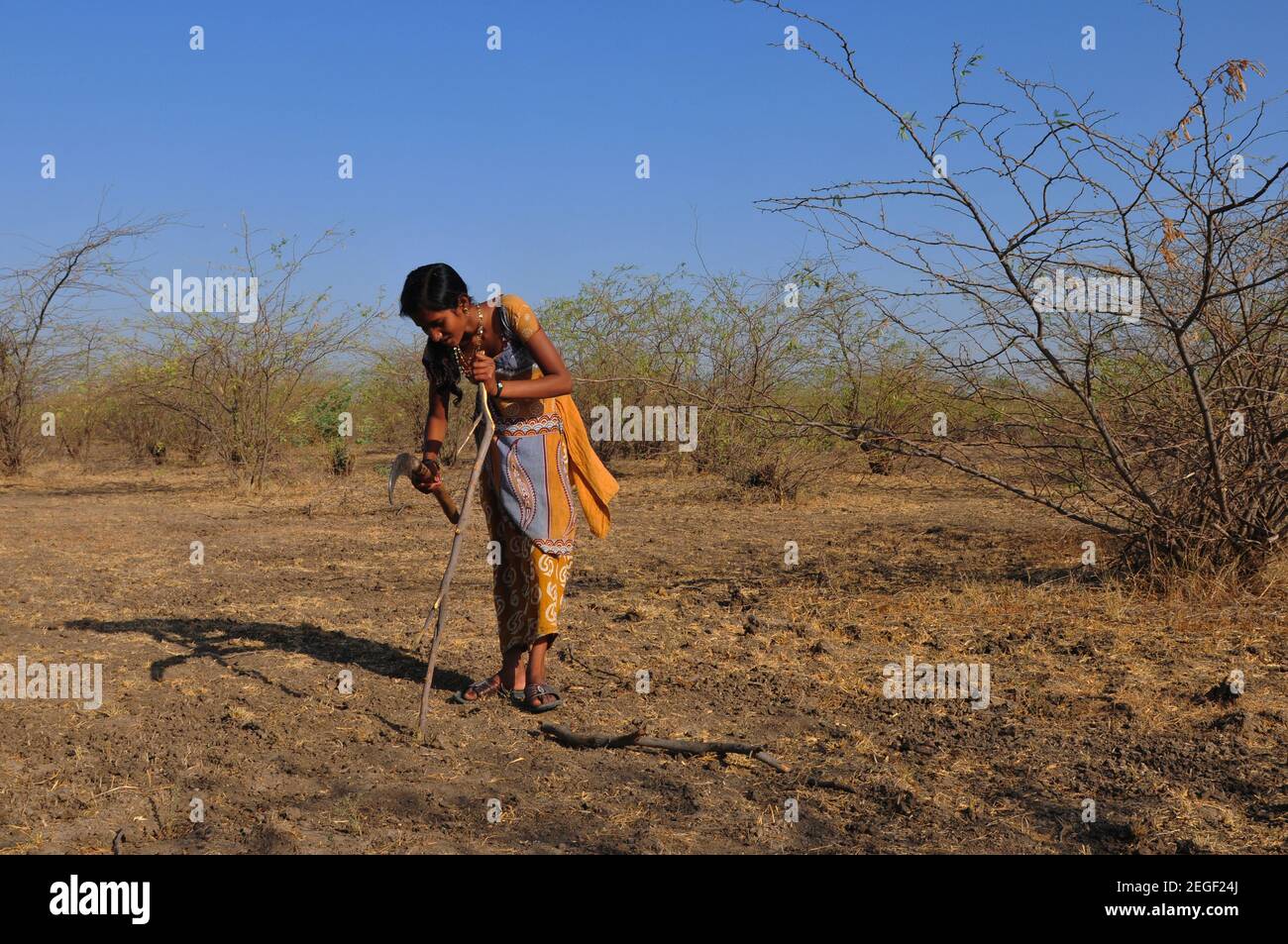 Young indian girls chopping down wood at the national park Little Rann of Kutch in the Gujarat salt-desert Stock Photo