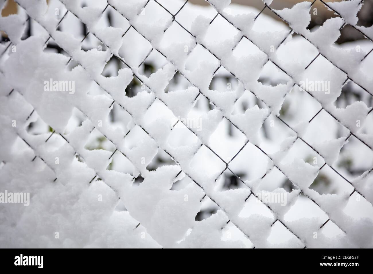 Wire mesh covered with snow, winter seasonal abstract background texture. Metal fence in white wintertime frost. Security, privacy concept Stock Photo