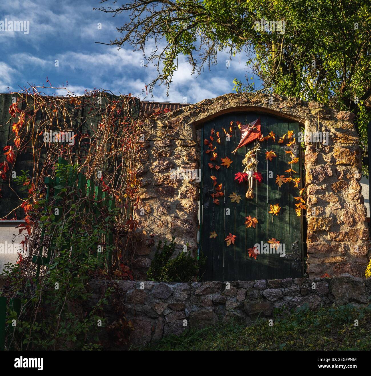 A door to the entrance of the private garden covered with colored plants. Autumn colors of the leaves. Stock Photo