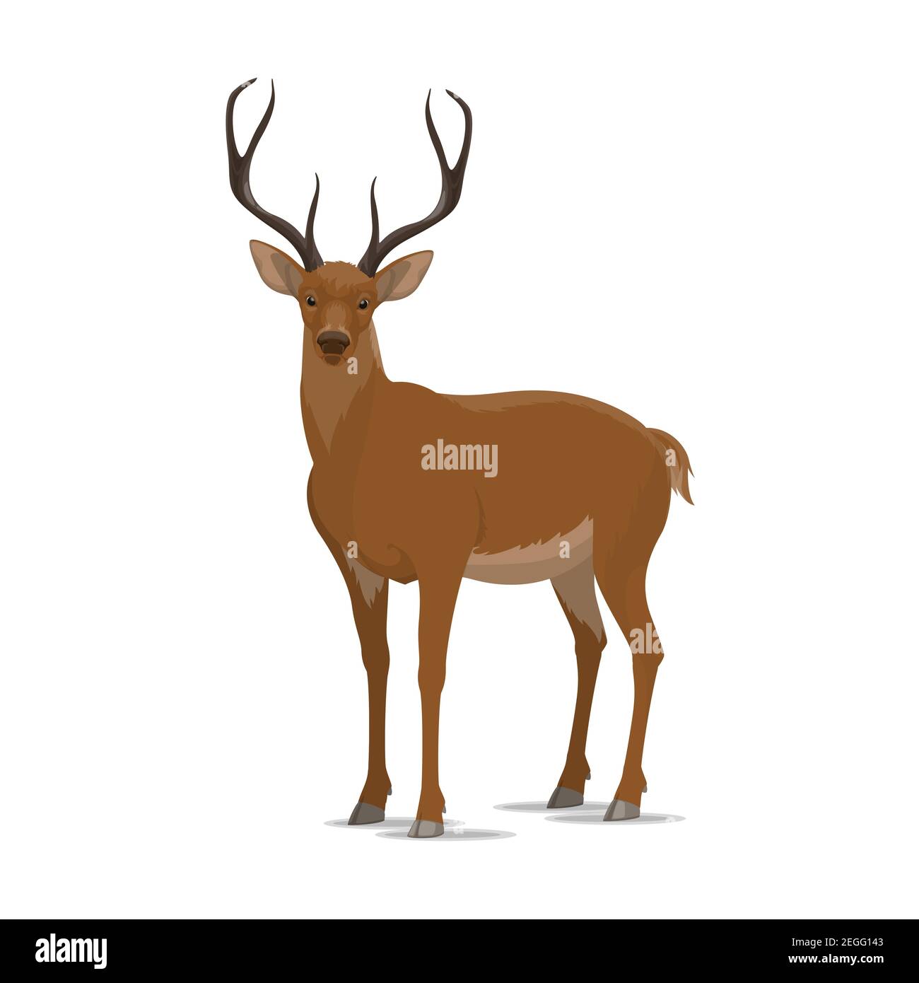 Deer animal icon. Vector isolated zoology flat design of forest wild deer or reindeer buck with antlers for wildlife fauna and nature zoo or open seas Stock Vector