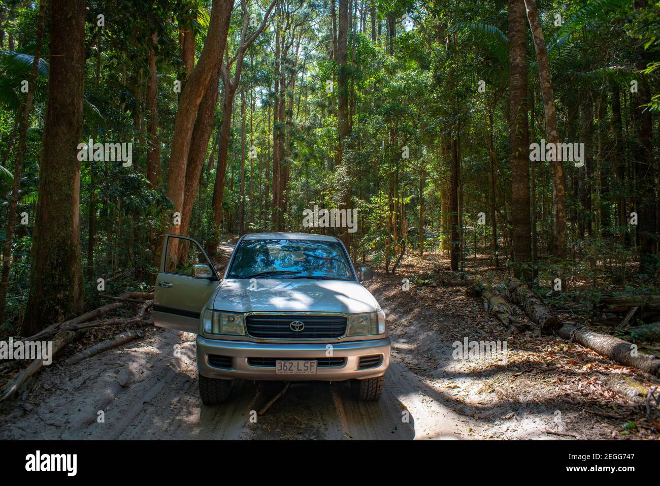 4WD Fraser Island Driving on Sandy Rainforest Road Stock Photo Alamy