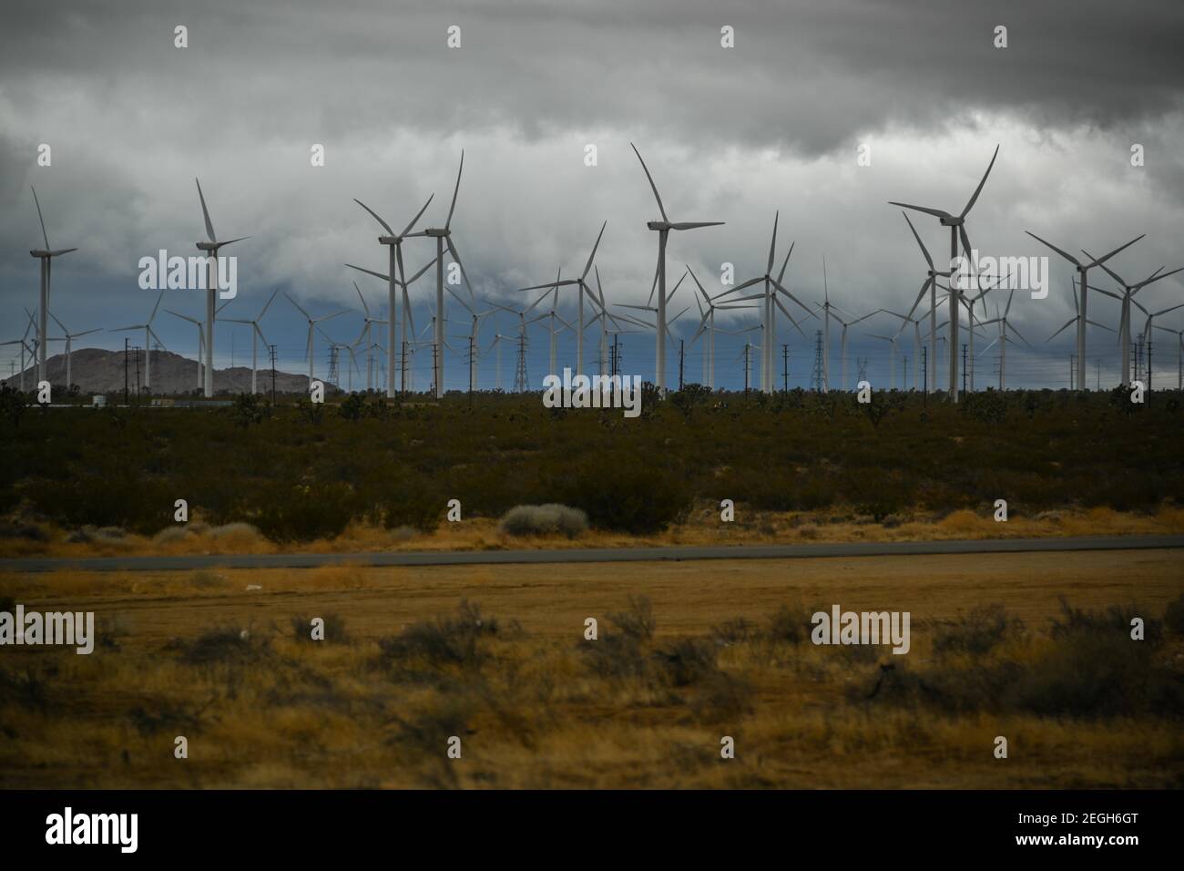 General overall view of the Tehachapi Pass wind farm in Mojave, Calif ...