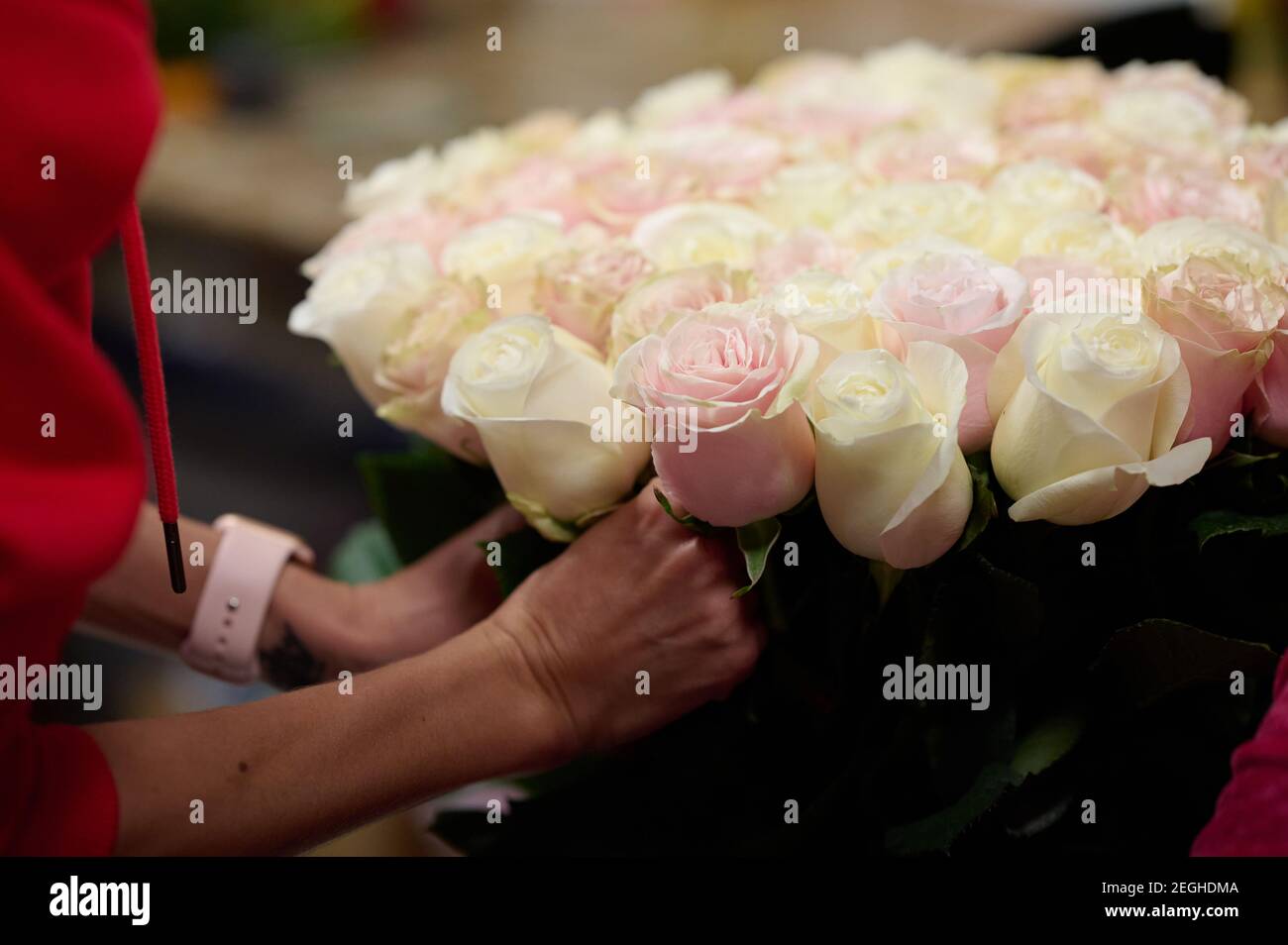 Florist's hands holding bouquet of white and pink roses Stock Photo