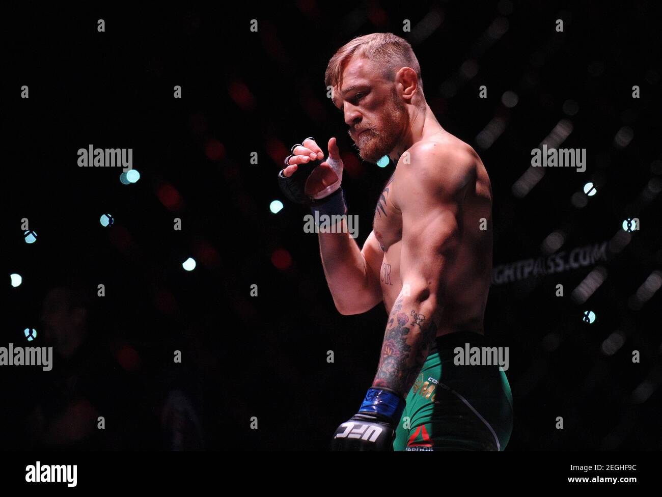 December 2015; Las Vegas, NV, USA; Conor McGregor before fighting against Jose Aldo during UFC 194 at MGM Grand Garden Arena. Mandatory Gary A. Vasquez-USA TODAY Sports / Reuters Picture