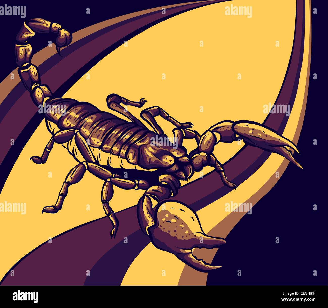 Illustration of scorpion arachnid insect. vector graphics Stock Vector