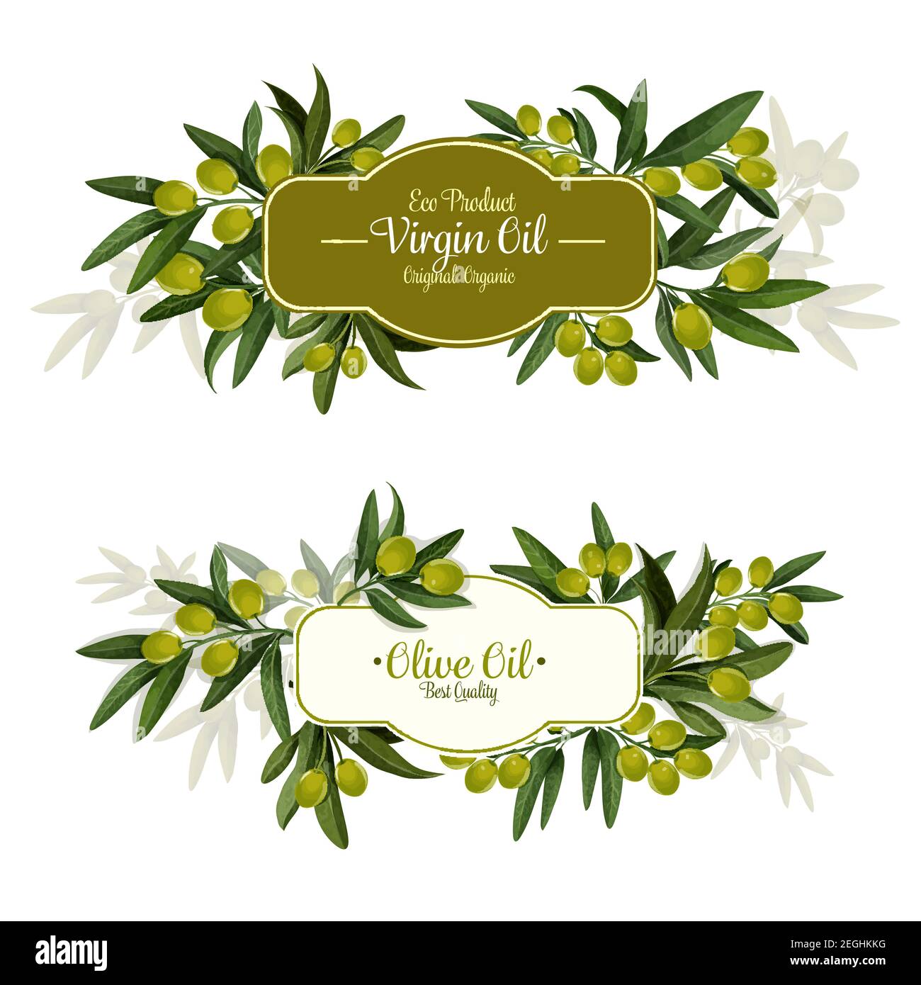 Olive oil label for organic natural food packaging template. Green olive  fruit branch with figured badge in center for healthy vegetarian salad  ingred Stock Vector Image & Art - Alamy