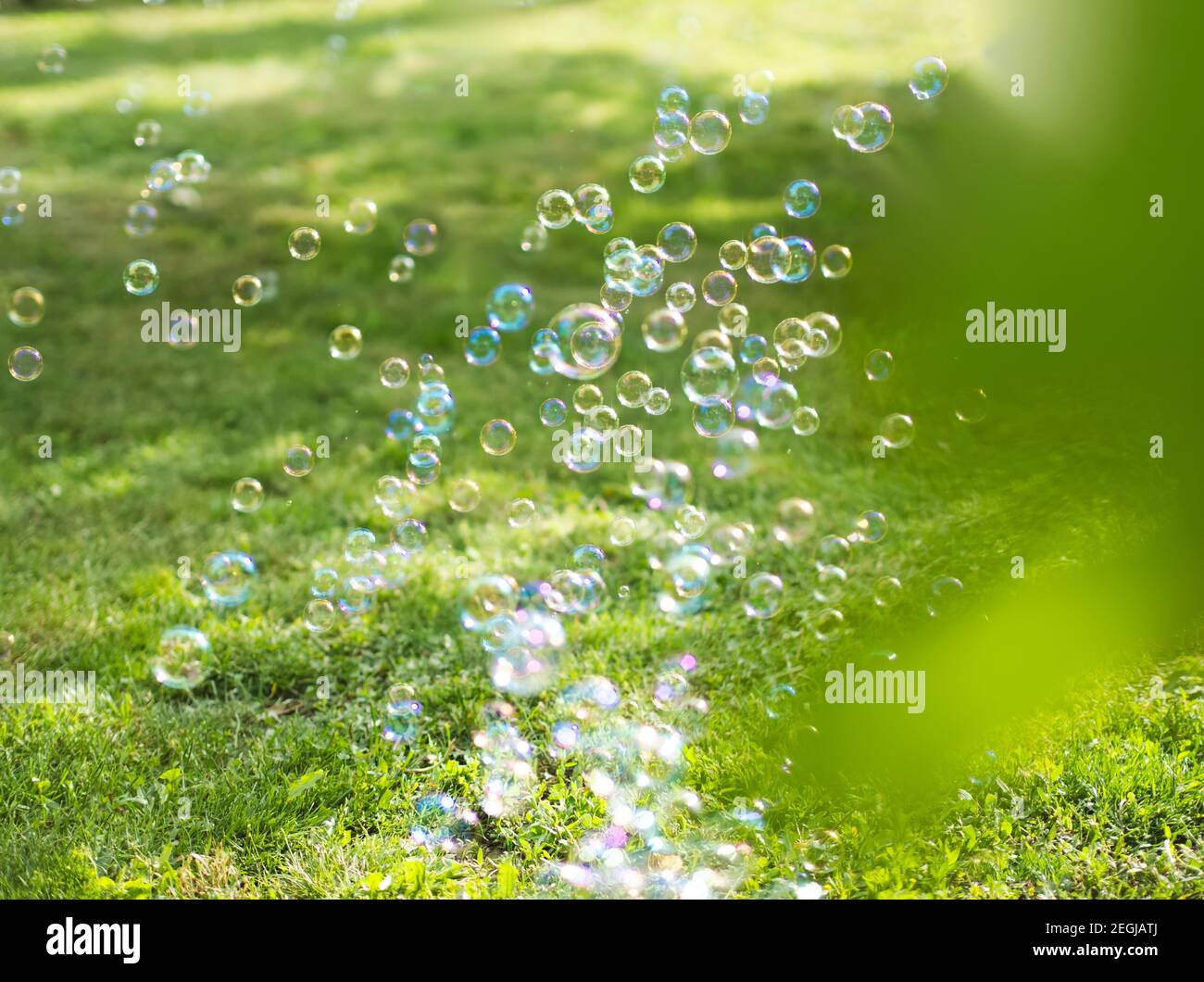 Soap Bubbles in the Yard on a Sunny Summer Day Stock Photo