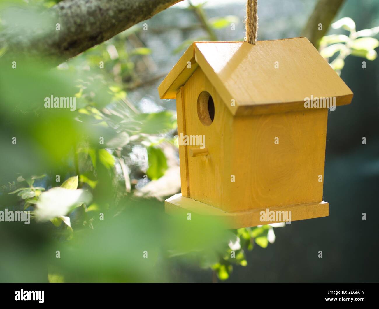 Yellow Bird House Hanging on Tree Branch Stock Photo