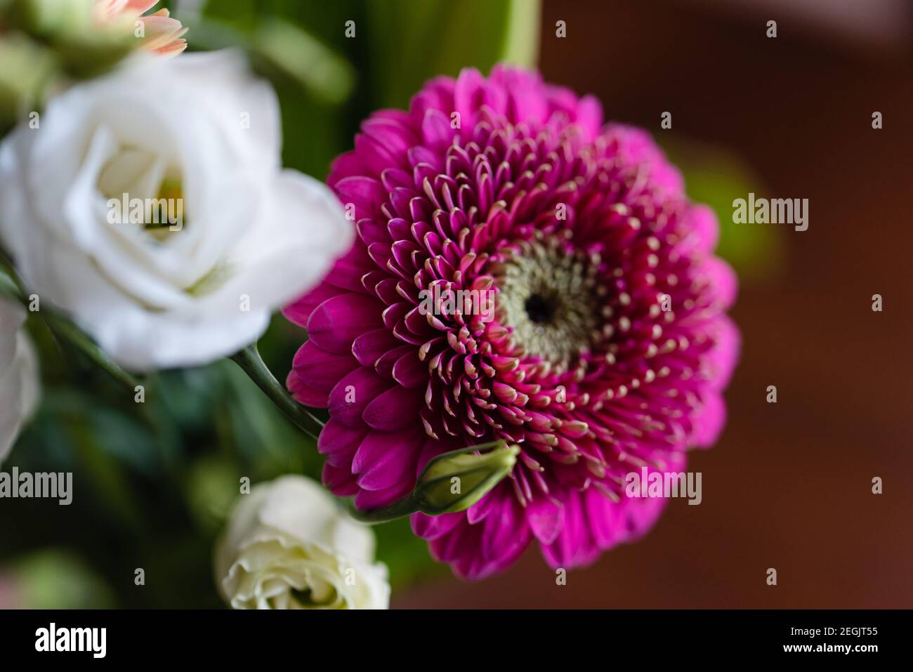 Close up of a bouquet of pink and white flowers. Stock Photo