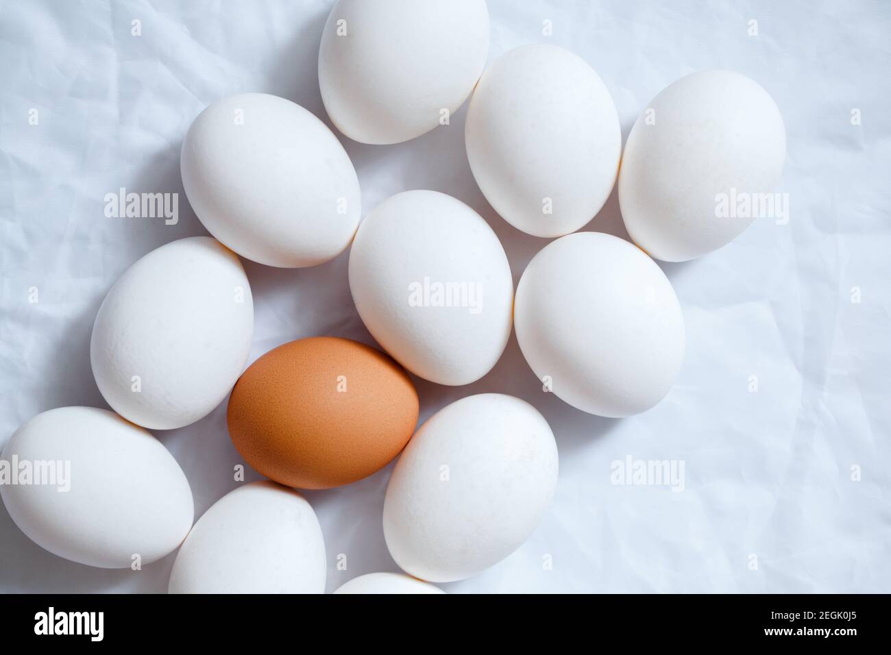 white chicken eggs and one brown on a white rumpled background. Stock Photo