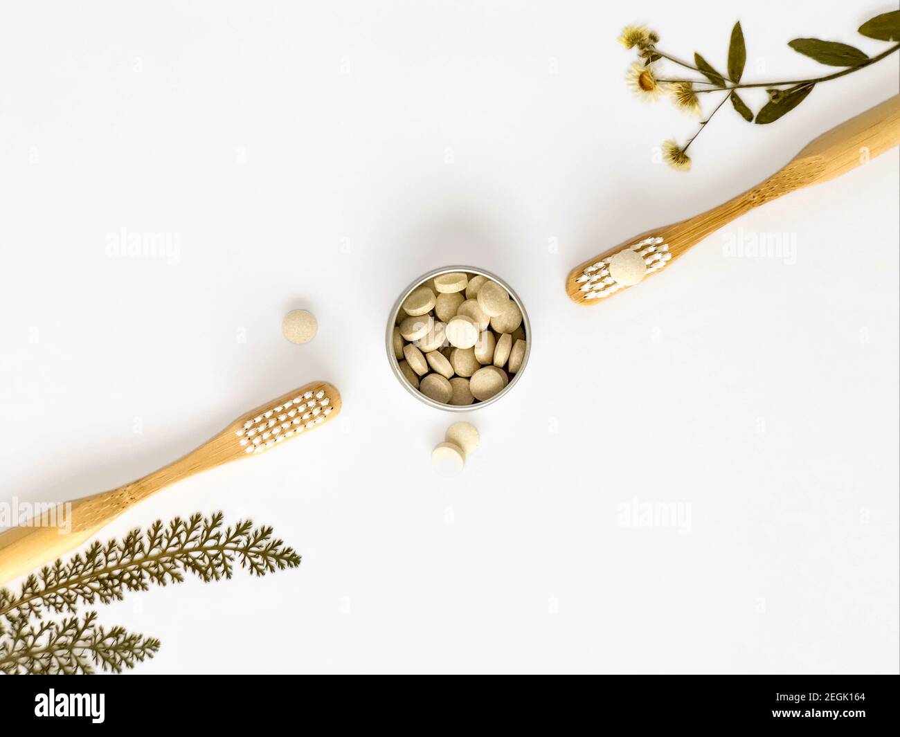 Toothbrush tree hires stock photography and images Alamy