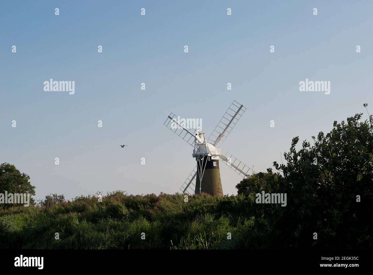 A rear view of a windmill (wind pump): tall traditional countryside building, surrounded by trees and bushes Stock Photo