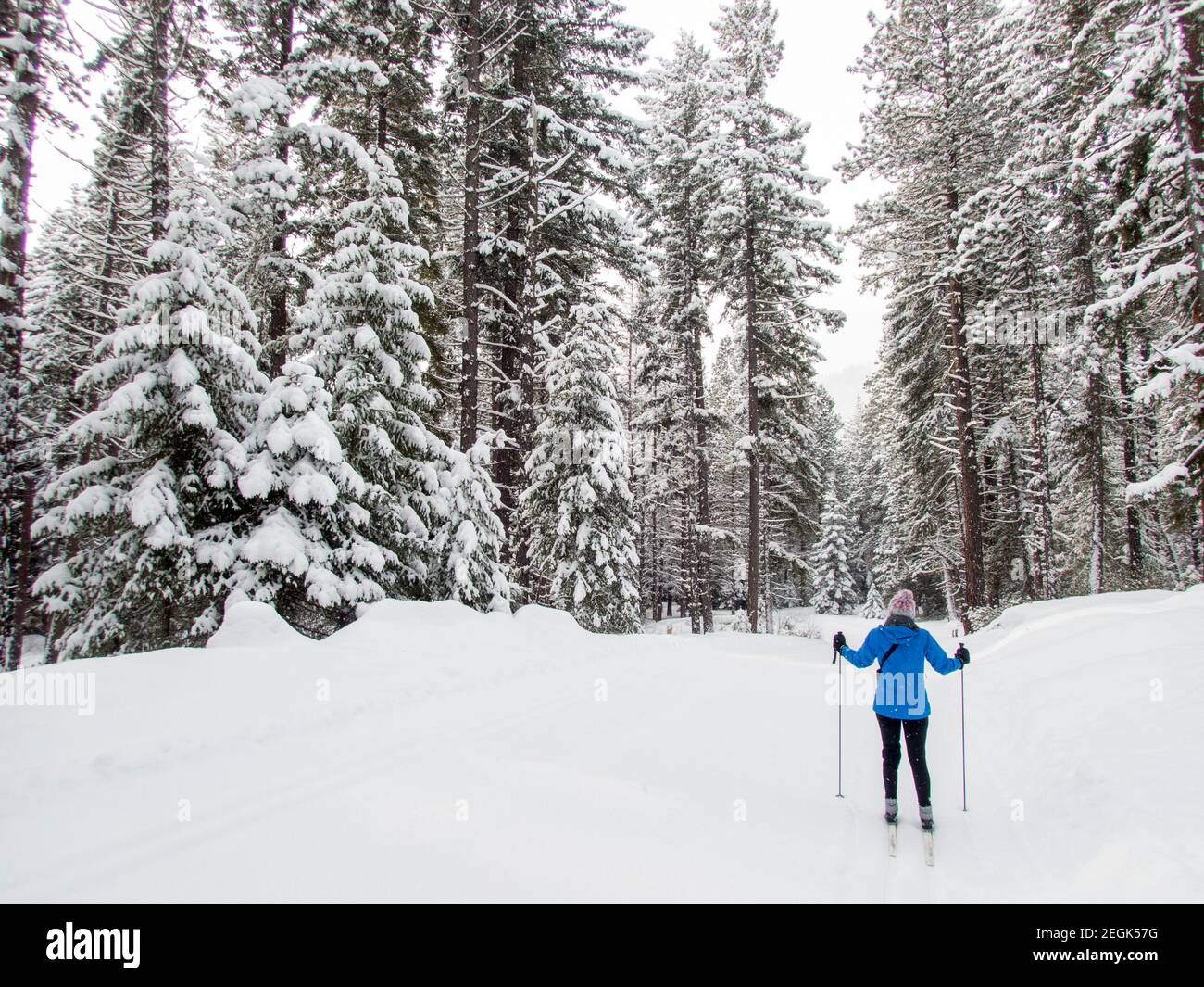 A winter scene with a woman crosscountry skiing (model released