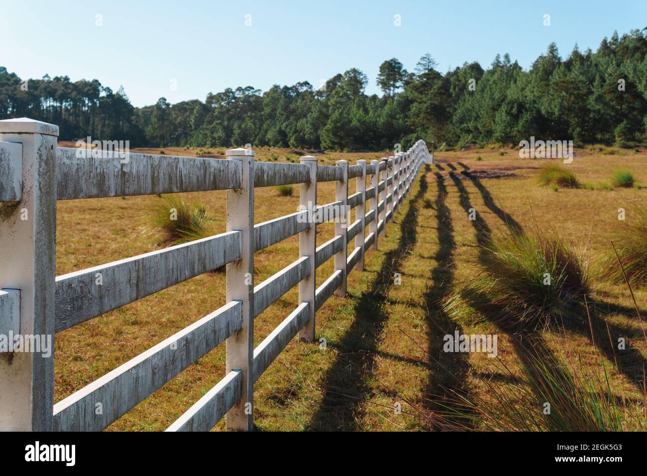 Horizontal view of a forest fence in the 'Piedras Encimadas' natural park, Puebla Mexico, view of the beautiful valley where you can see the green mou Stock Photo