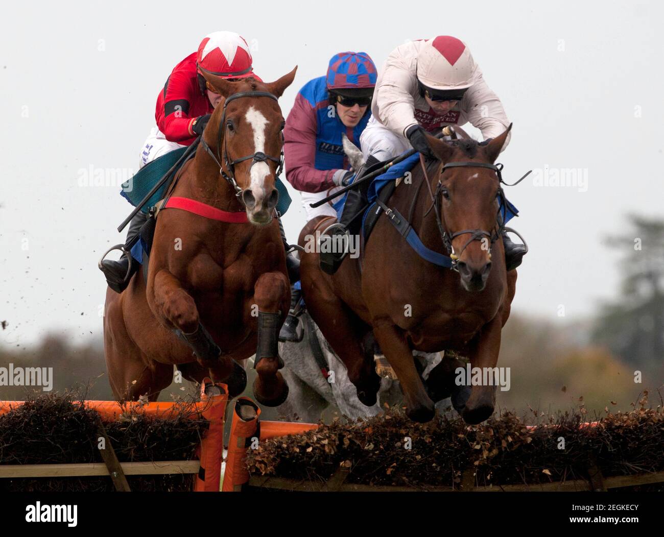 Dragons Horse High Resolution Stock Photography And Images Alamy