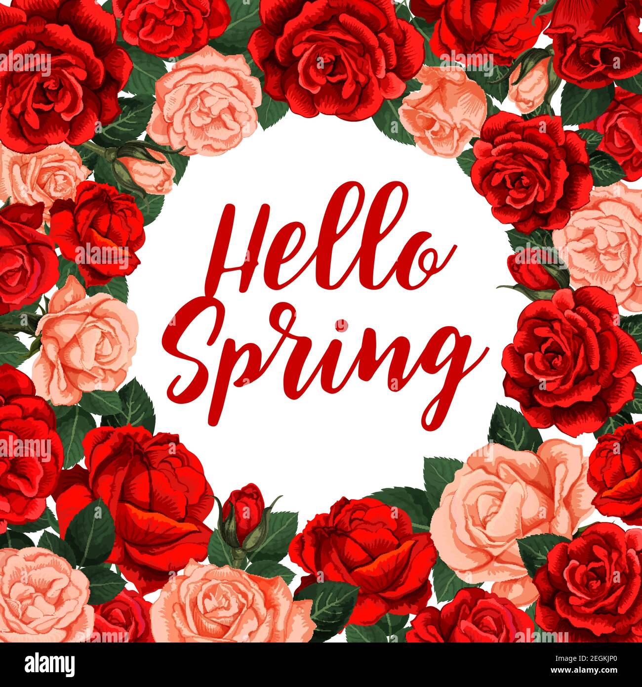 Hello spring greeting card. Vector poster with circle frame of roses on ...