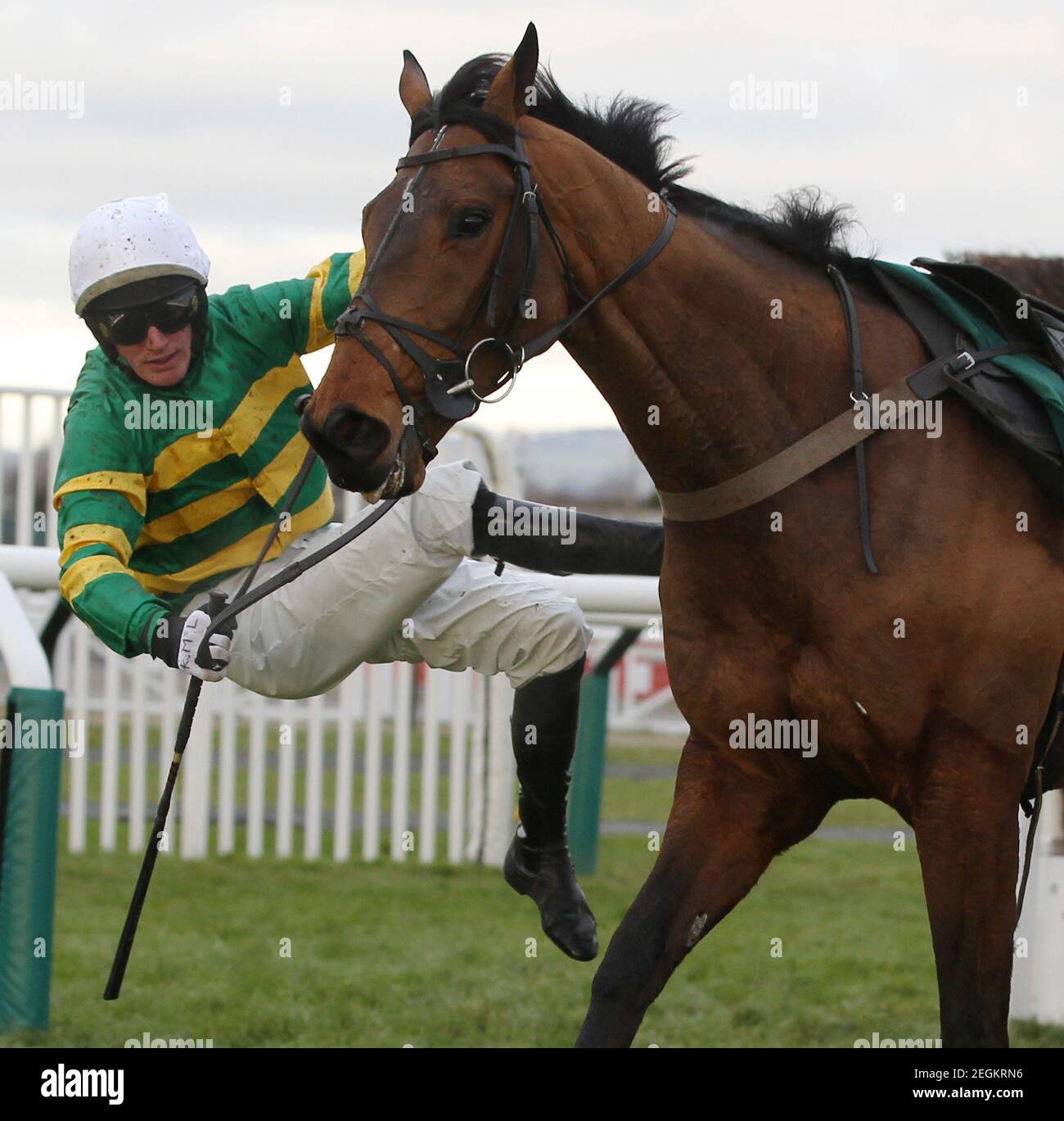 Electrical horse fence hires stock photography and images Alamy