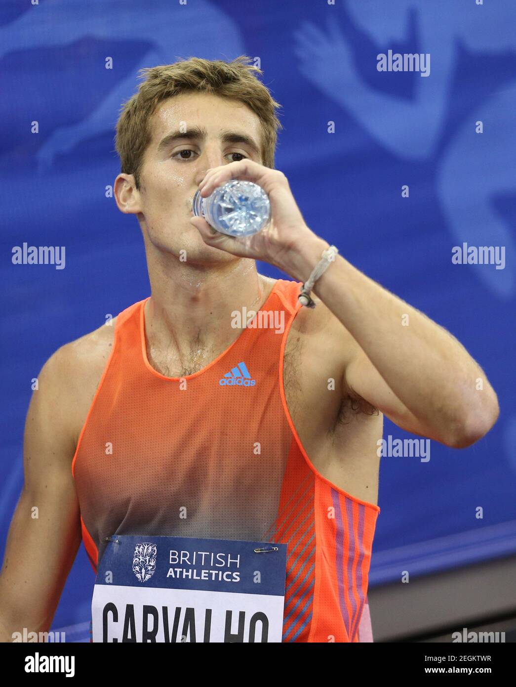 Florian carvalho hires stock photography and images Alamy