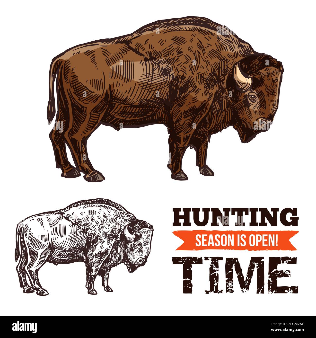 Bison animal sketch of wild mammal. American buffalo, bull or ox with brown fur and horn isolated icon for hunting sport open season or hunter club sy Stock Vector Image & Art - Bison animal sketch of wild mammal. American buffalo, bull or ox with brown fur and horn isolated icon for hunting sport open season or hunter club sy Stock Vector Image & Art -