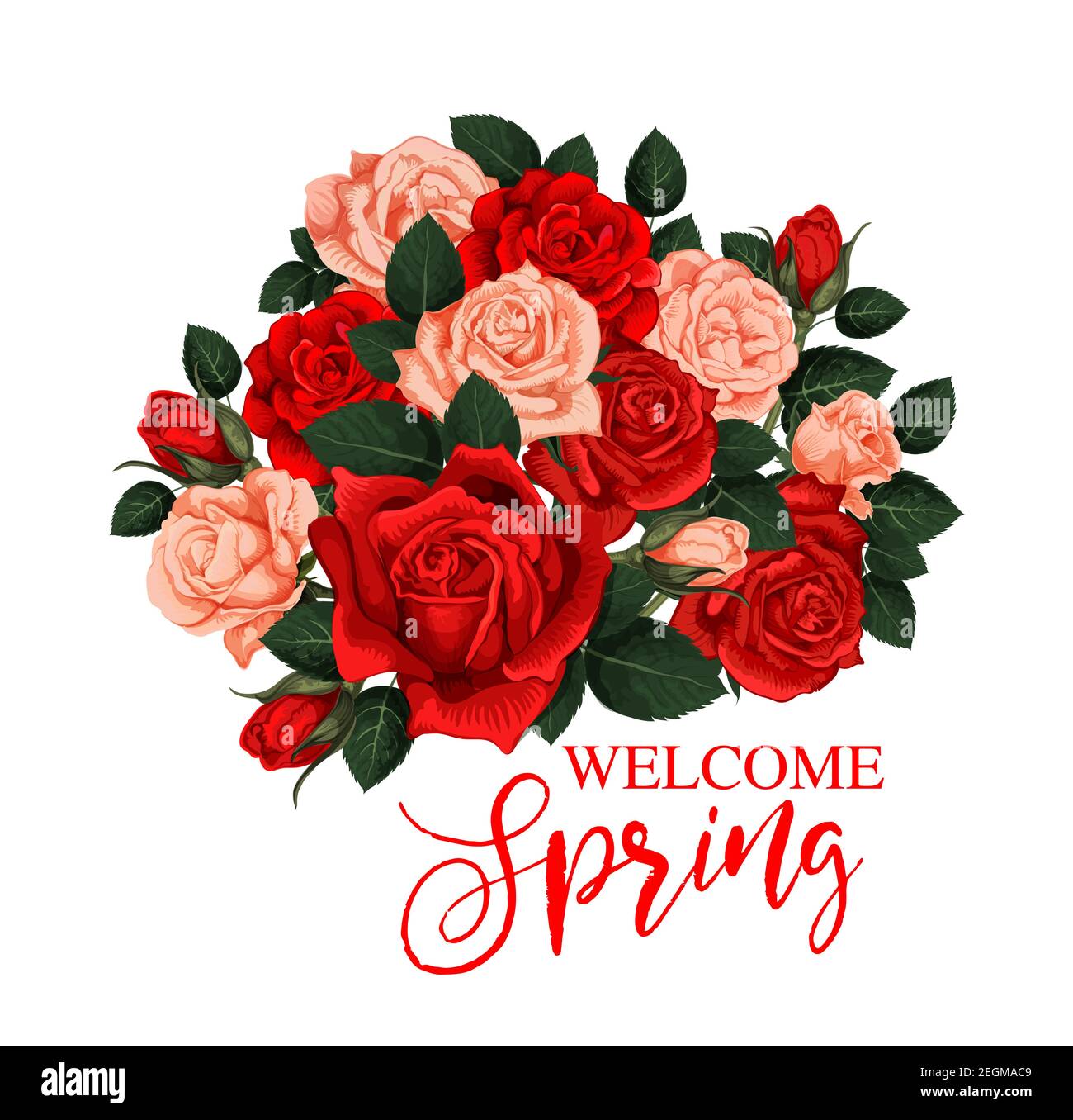 https://c8.alamy.com/comp/2EGMAC9/stylish-vector-poster-with-red-and-pink-roses-isolated-on-white-background-flower-bouquet-symbol-of-spring-welcome-spring-and-invitation-concept-ho-2EGMAC9.jpg