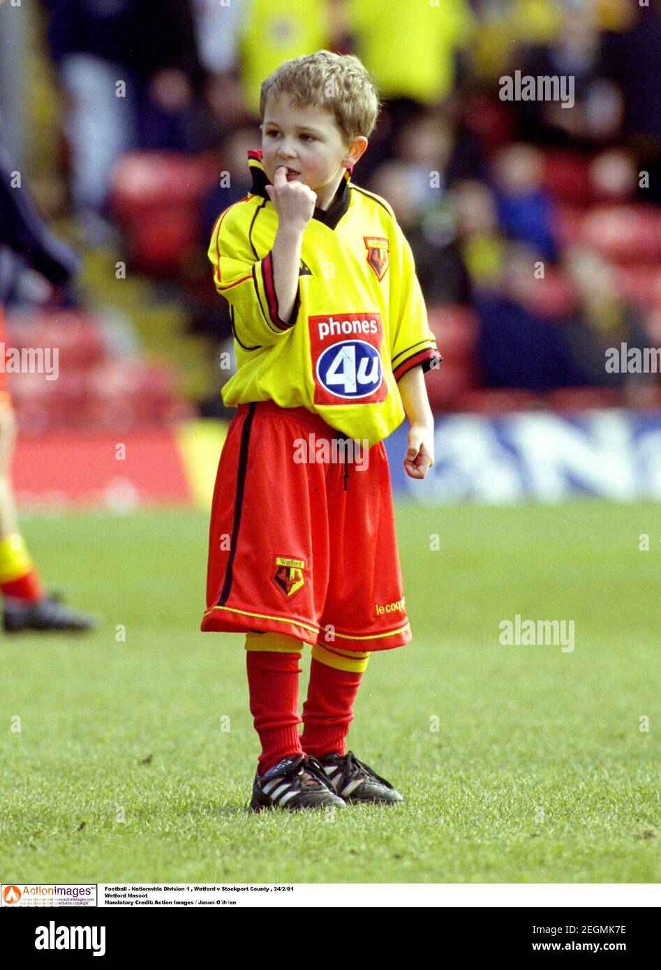 Stockport county mascot hires stock photography and images Alamy