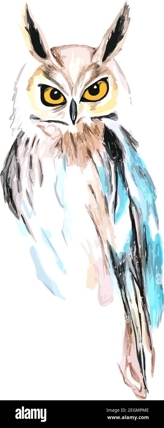 Hand drawn watercolor colorful illustration of owl isolated on white ...