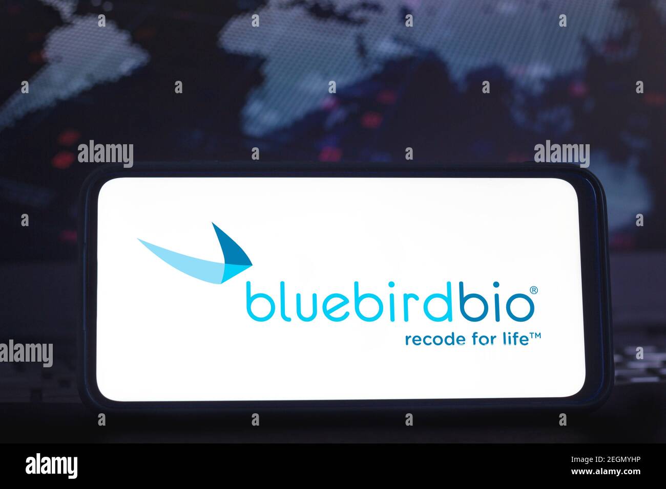 In this photo illustration a Bluebird Bio logo seen displayed on a