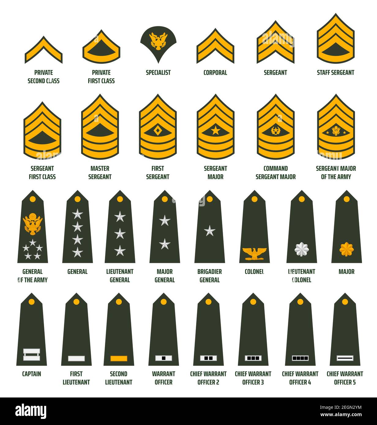 US army enlisted ranks chevrons and insignia. America military service soldiers, officers and command shoulder marks. Private, sergeant and general, c Stock Vector