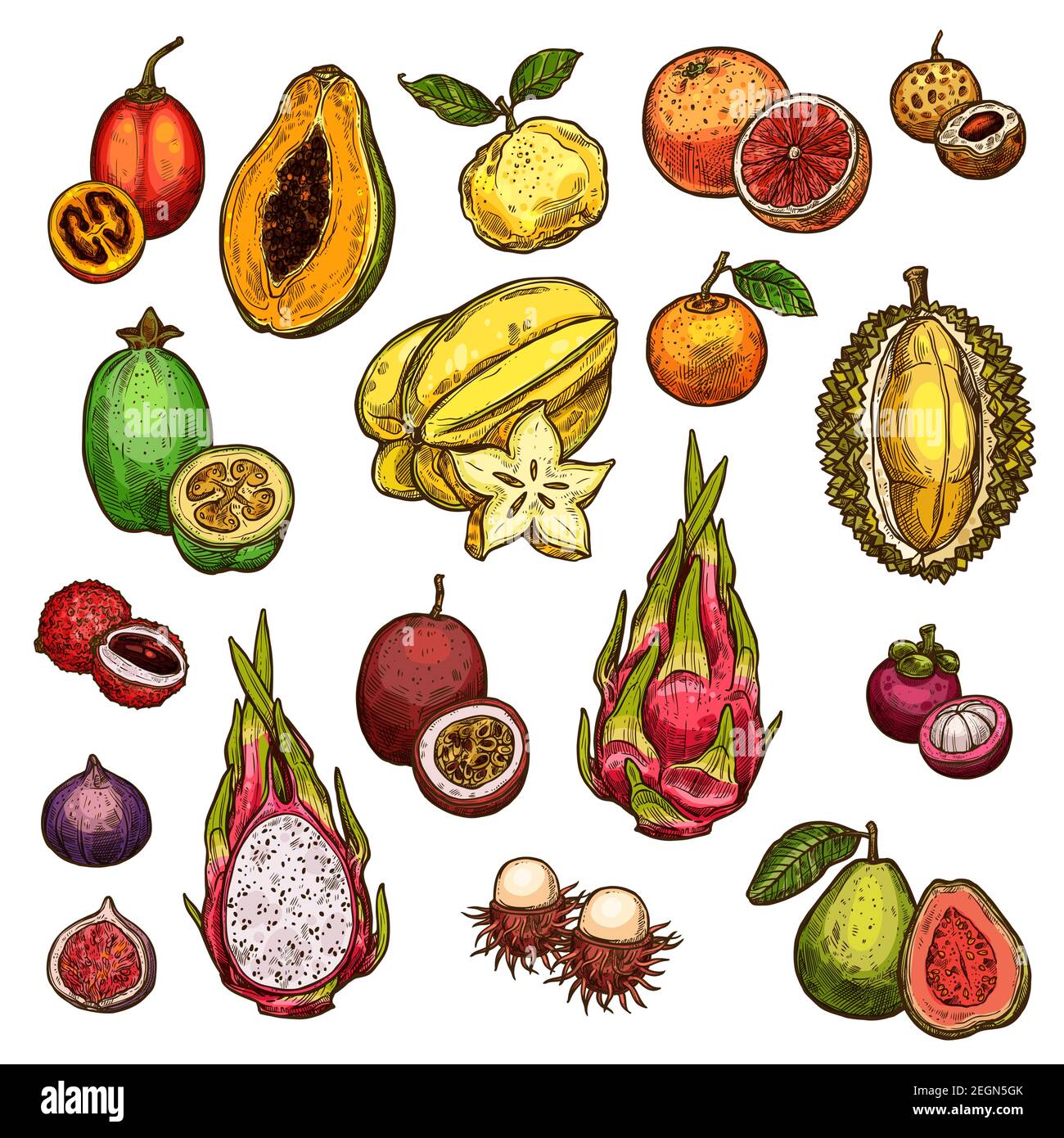 Exotic fruits isolated icons of grapefruit, mandarin and guava, papaya ...