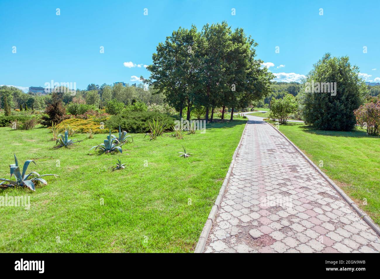 Footpath in the spring park . Walking in the springtime Stock Photo - Alamy