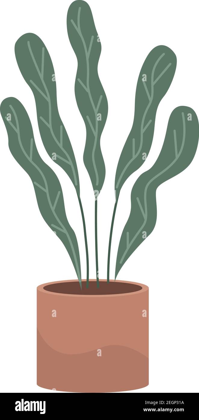 house plant in ceramic pot nature isolated icon vector illustration ...