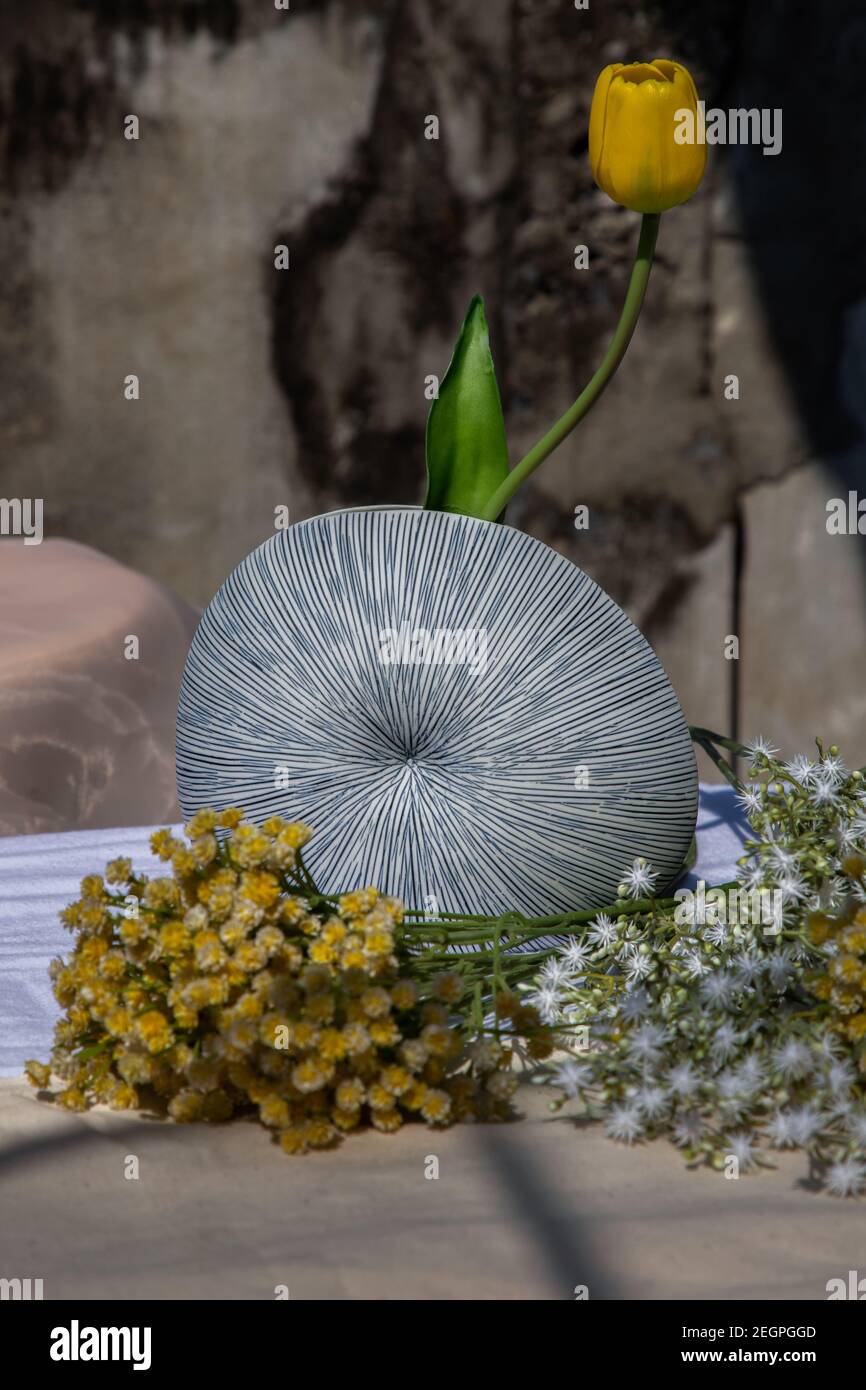 Vase Shell High Resolution Stock Photography And Images Alamy