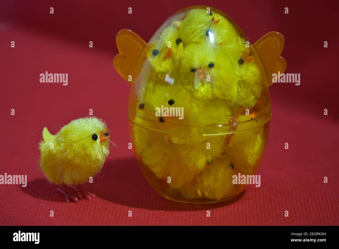 peeps, chicks, fuzzy, chickens, hens, Easter,  kids, decorations, basket fillers, festive, cute, stuffed, in egg, plastic, trapped, stuck inside, fun Stock Photo